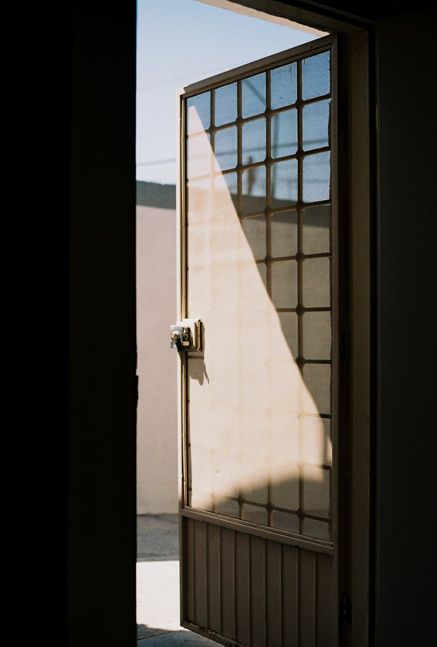 Surviving Transition