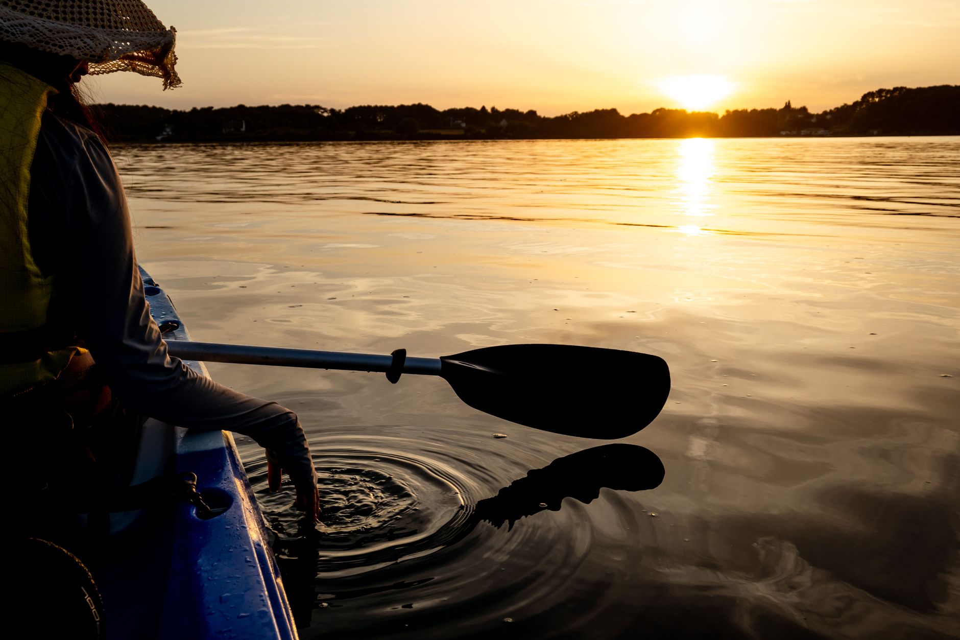 Navigating Life with Lessons from&nbsp;Nature
